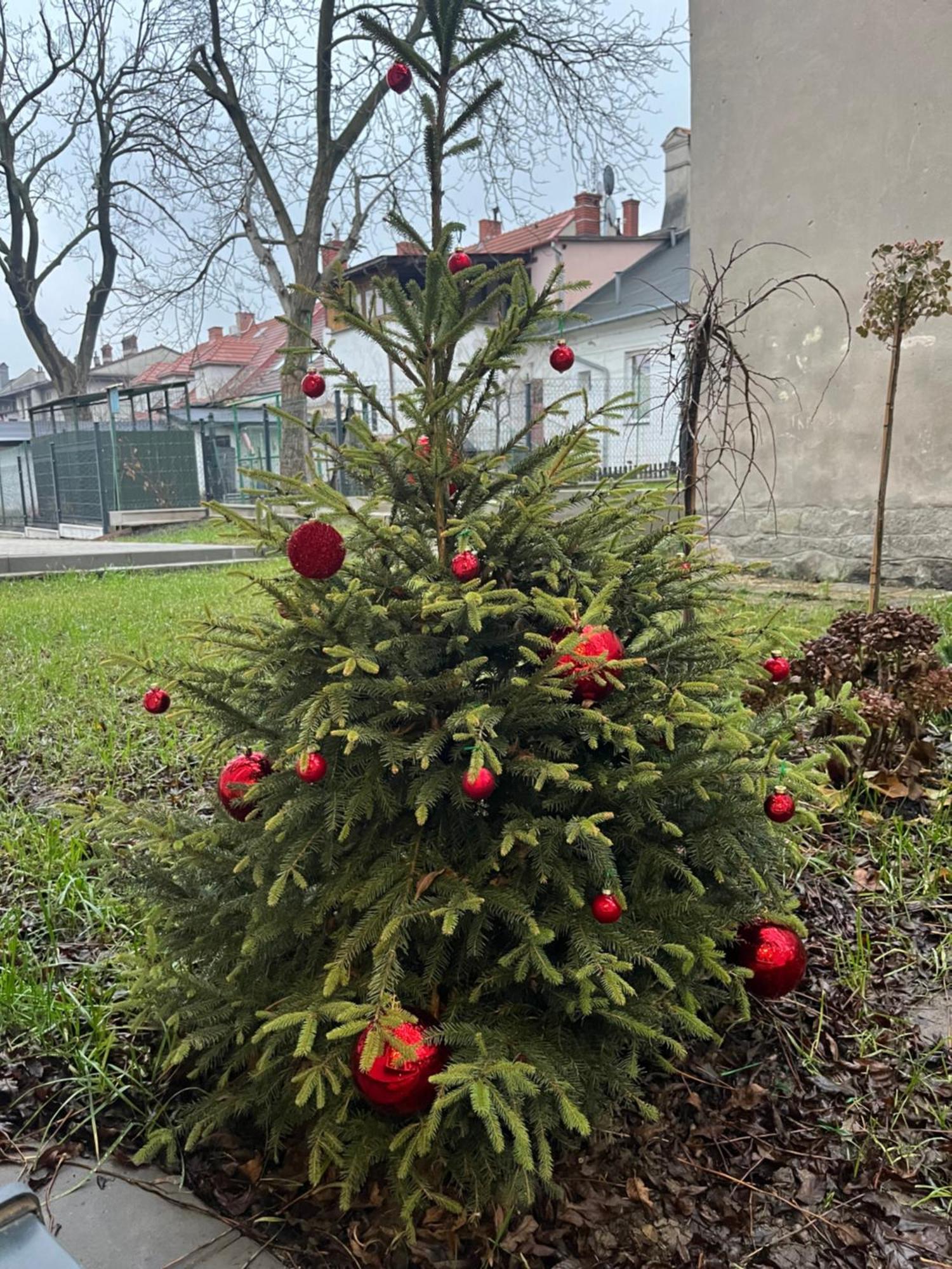 Apartament Kaszmirowy Bielsko-Biała Zewnętrze zdjęcie