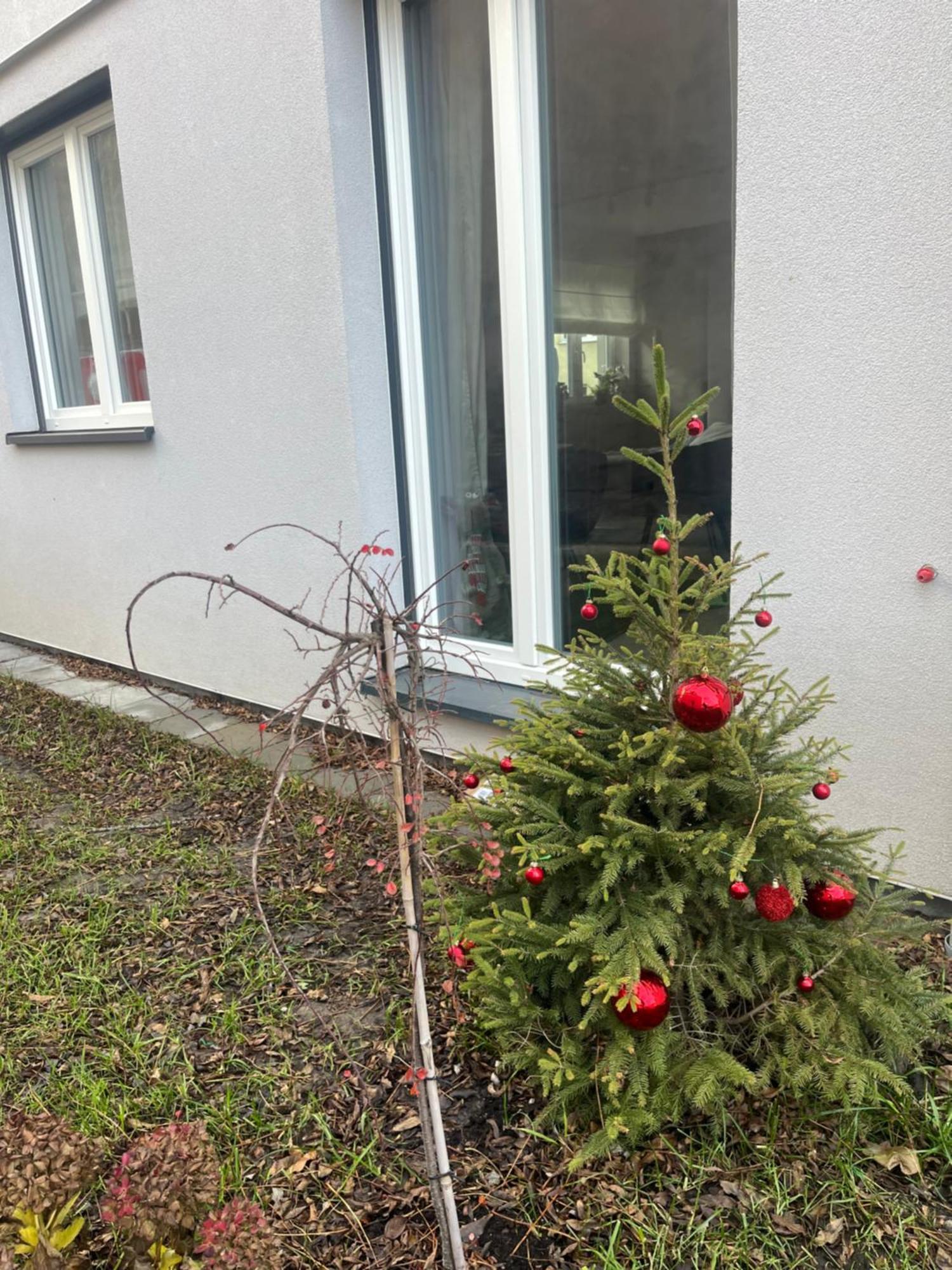 Apartament Kaszmirowy Bielsko-Biała Zewnętrze zdjęcie