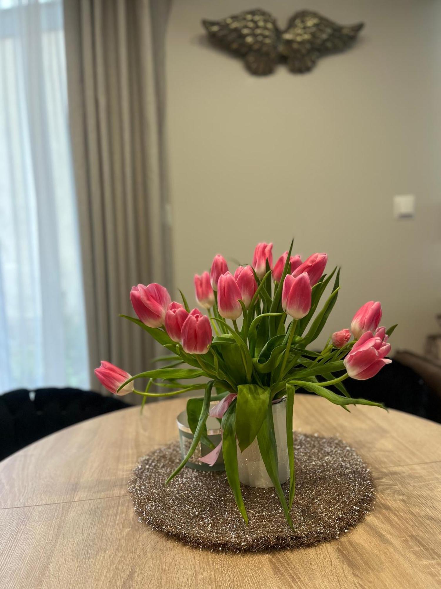 Apartament Kaszmirowy Bielsko-Biała Zewnętrze zdjęcie